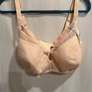 Chic Lace Underwire Bra in Cream